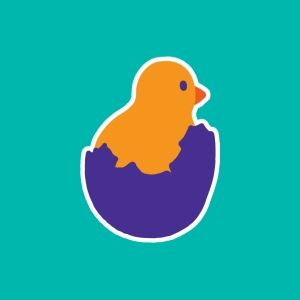 From egg to chick